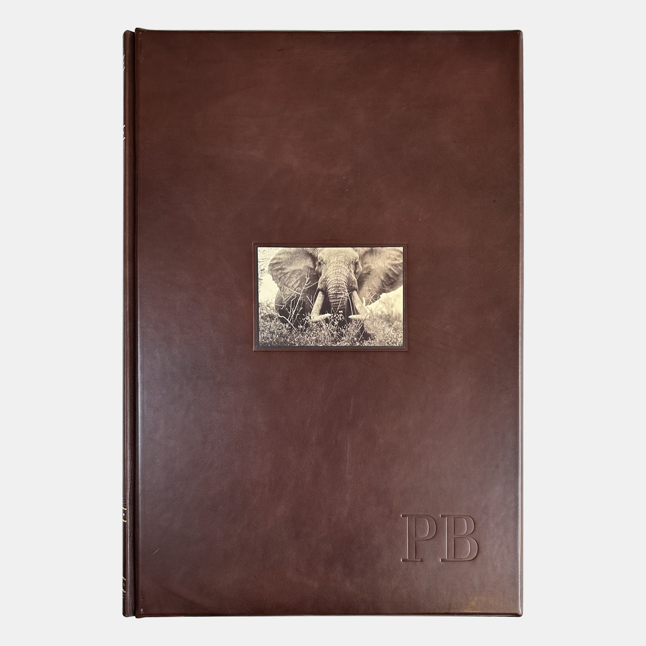 ピーター・ビアード Peter Beard | 世界のアート作品・絵画を買いたい