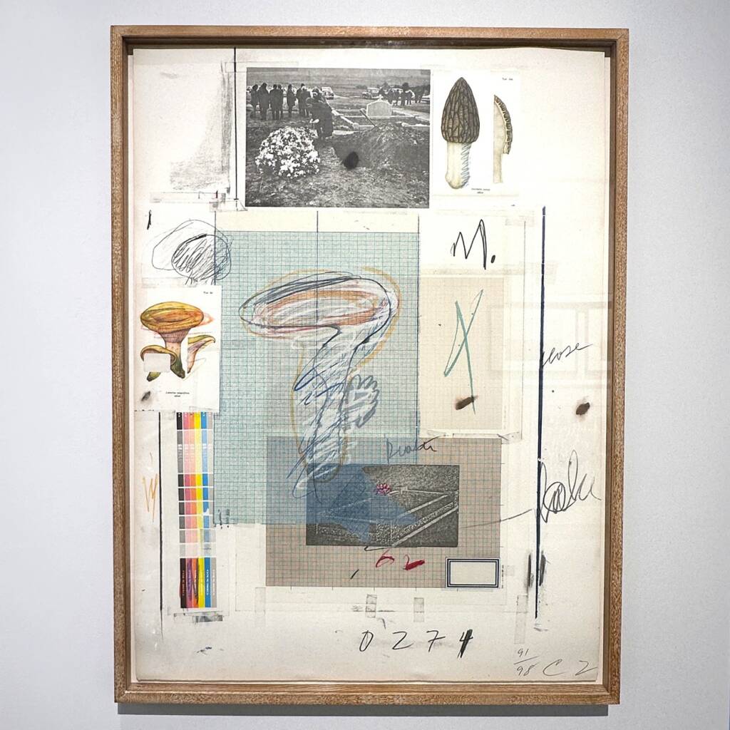 サイ・トゥオンブリー Cy Twombly | 世界のアート作品・絵画を買いたい